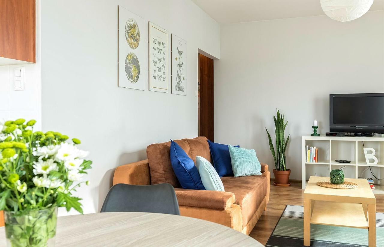Top Floor Apartment 乔左维尔考普尔斯基 外观 照片