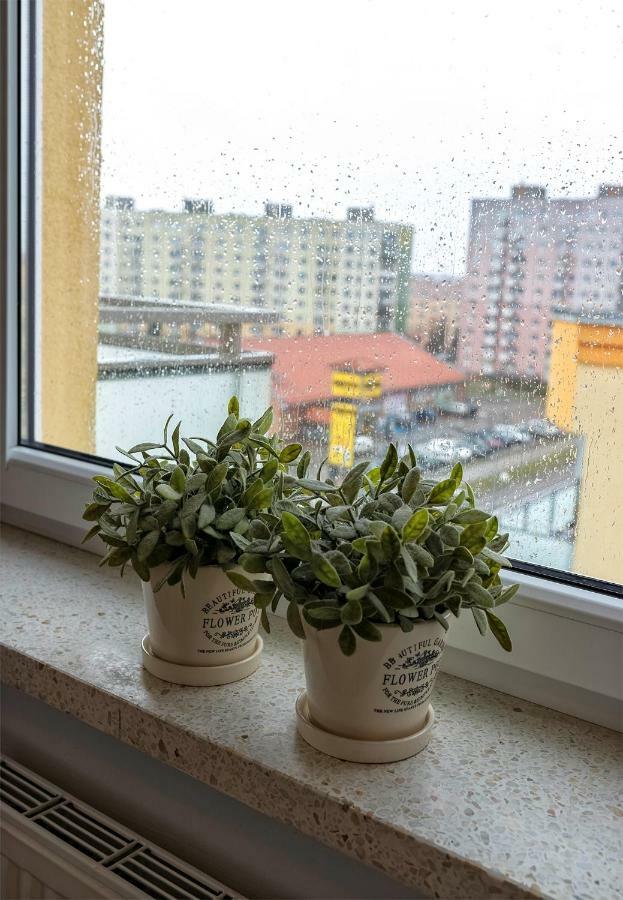 Top Floor Apartment 乔左维尔考普尔斯基 外观 照片